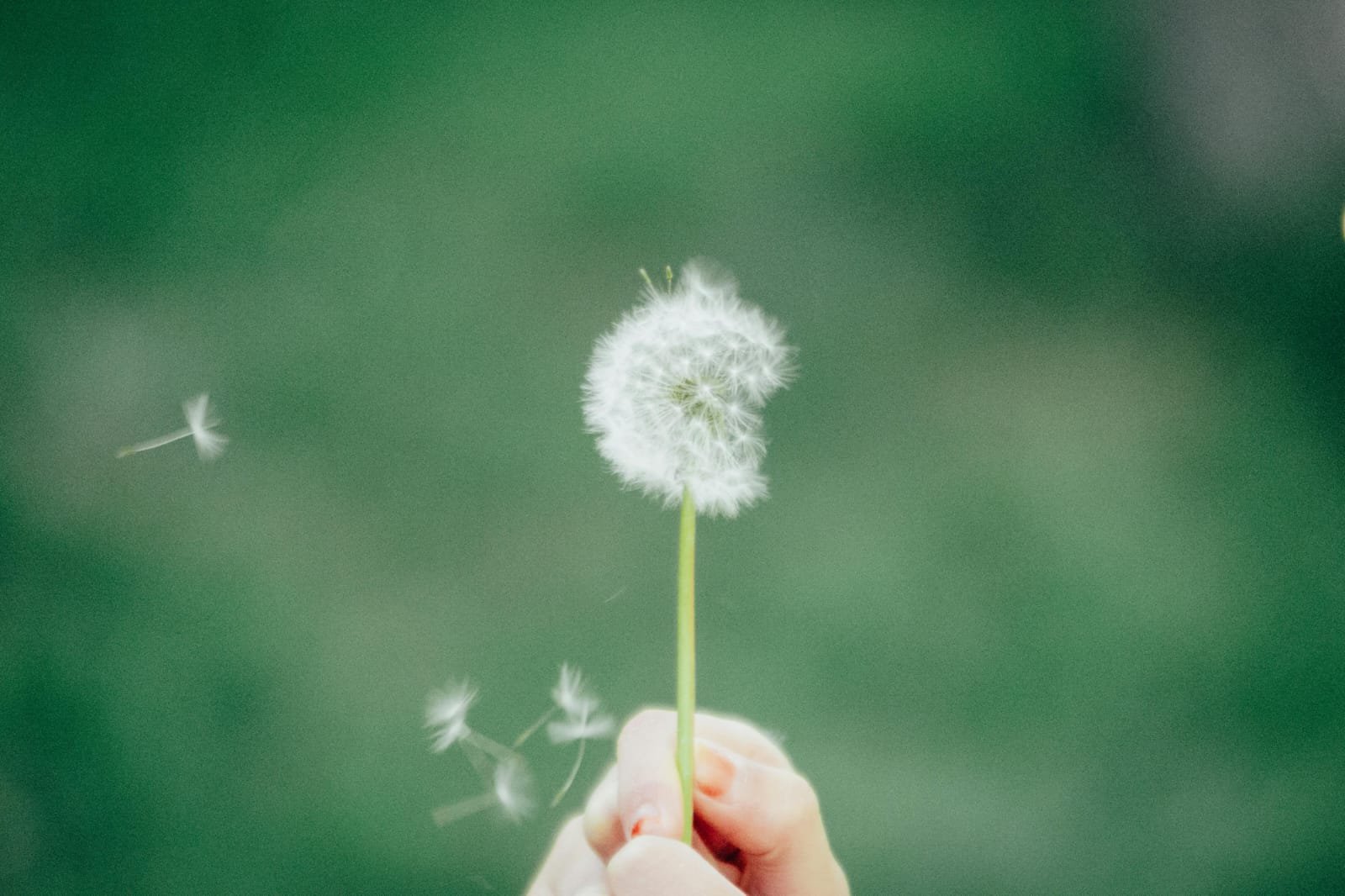 ¿Qué deseamos cuando deseamos?